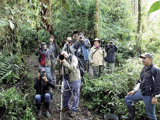 img-hYwxDsIwDEVvkzEuCIkumRhYuYLVuGkqJ7ZIWl-fSIiZ6ek9fX1n4XKdJrd9YUVDlJJrlgaRWs9VFlzJKyZKhG-_CChj7ZkZG_wyuDXAa8hzyIPliGBmsPXCoIng7-ehLBiBTqp9zO7zze-aPg