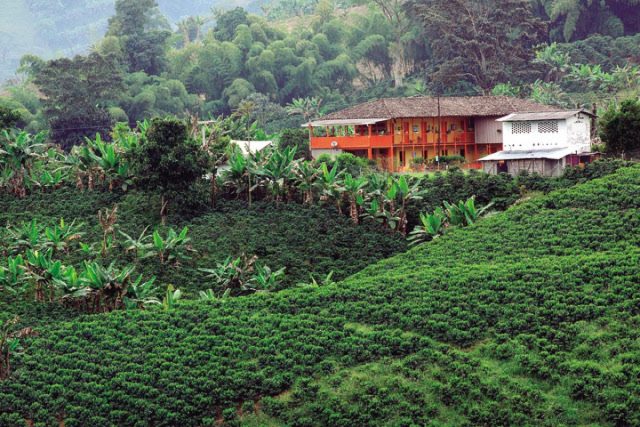 img-hYwxDsMgDEVvw4iTTF2YMnTtFazgECqDrULq6wep6pzp6T19fWdhXqbJHT9Y0RCl5JqlQaTWc5UNd_KKiRLhx28Cylh7ZsYG_wxuD_Aa8hyyspwRzAyOXhg0Edx-nsqCEehLtY_ZvDz8W9MF