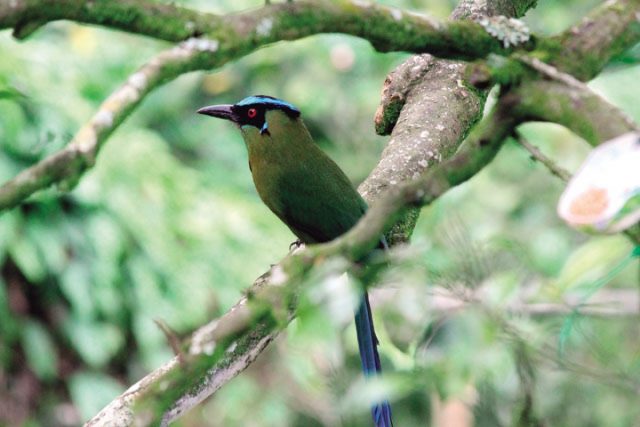 img-hYwxDsMgDEVvw4iTbB2YMnTtFazgECqDrULq6wep6pzp6T19fWdhXqbJHT9Y0RCl5JqlQaTWc5UNd_KKiRLhx28Cylh7ZsYG_wxuD_Aa8hyyspwRzAyOXhg0Edx-nsqCEehLtY_ZvDz8W9MF