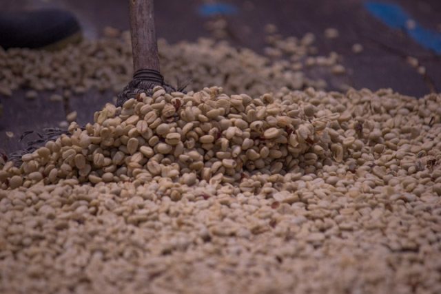 img-hYwxDsMgDEVvw4jTDO3ElKFrr2AFhxAZbBVSXz9IVedOT-_p6zsLt3ma3P6FFQ1RSq5ZGkRqPVdZcSOvmCgRvv0qoIy1Z2Zs8MvgtgCvIc8hC8sZwcxg74VBE8Hfz1NZMAJ9qPYxmx93f2i6AA