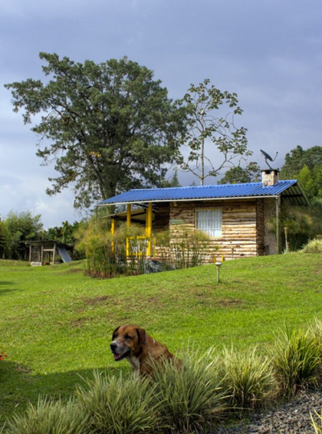 img-hYwxDsMgDEVvw4jTdOrAlKFrr2AFhxAZbBVSXz9IVedOT-_p6zsLt3ma3P6FFQ1RSq5ZGkRqPVdZcSOvmCgRvv0qoIy1Z2Zs8MvgtgCvIc8hC8sZwcxg74VBE8Hfz1NZMAJ9qPYxu88Pf2i6AA