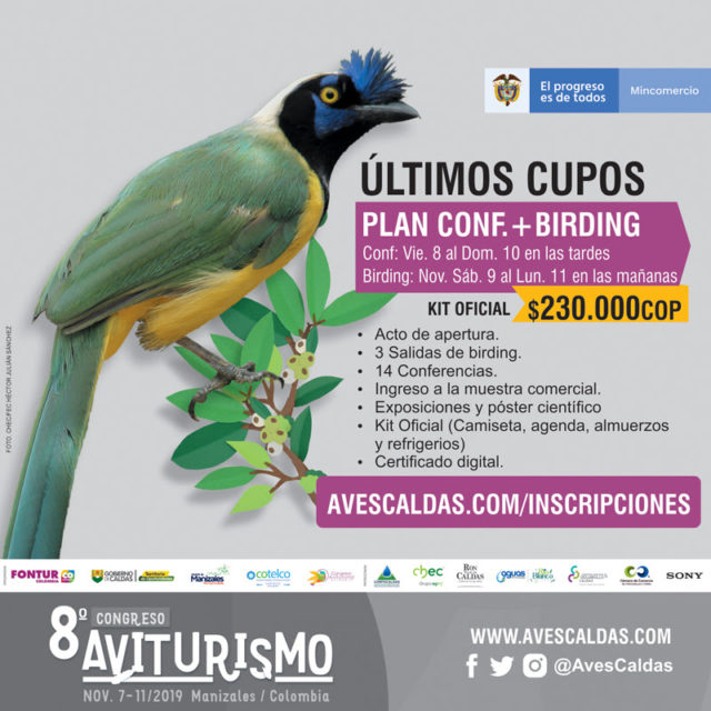 Por lo menos 500 participantes son esperados en este evento que tiene como escenario el Recinto del Pensamiento de Manizales.
