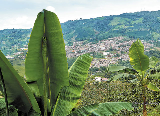 BELEN-PANORAMICA-PLATANAL