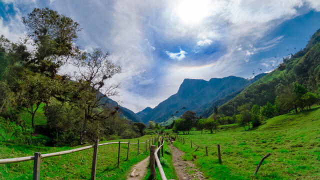 valle-de-cocora-4959051_1920