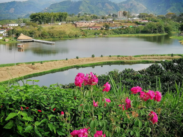 Chinchina