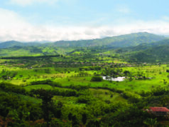Invertir en el Paisaje Cultural Cafetero, una tierra fascinante con visión prospectiva