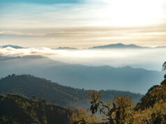Salud mental y paisaje cultural cafetero