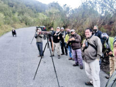 El arte rinde cultura a nuestras aves