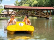 Turismo regenerativo en el Paisaje Cafetero una opción ideal para el fin y nuevo año