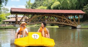 Turismo regenerativo en el Paisaje Cafetero una opción ideal para el fin y nuevo año