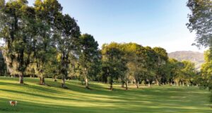 Por qué invertir y vivir en Manizales