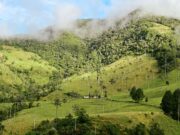 “Quindío, Corazón de Colombia”, lanzará en la VITRINA DE ANATO 2026 su nueva campaña de promoción turística “No me creas, vívelo” Bajo su marca paraguas “Quindío, Corazón de Colombia”, el departamento lanzará oficialmente su nueva campaña de promoción turística “No me creas, vívelo”