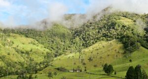 “Quindío, Corazón de Colombia”, lanzará en la VITRINA DE ANATO 2026 su nueva campaña de promoción turística “No me creas, vívelo” Bajo su marca paraguas “Quindío, Corazón de Colombia”, el departamento lanzará oficialmente su nueva campaña de promoción turística “No me creas, vívelo”