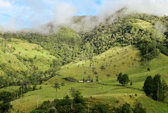 “Quindío, Corazón de Colombia”, lanzará en la VITRINA DE ANATO 2026 su nueva campaña de promoción turística “No me creas, vívelo” Bajo su marca paraguas “Quindío, Corazón de Colombia”, el departamento lanzará oficialmente su nueva campaña de promoción turística “No me creas, vívelo”