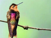 Cuatro departamentos Un solo destino