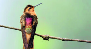 Cuatro departamentos Un solo destino