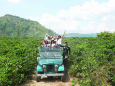 Siete dias para descubrir El encanto del eje cafetero