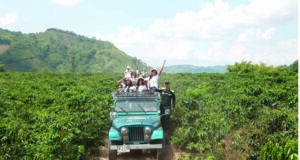 Siete dias para descubrir El encanto del eje cafetero