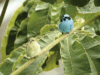 Jardín Botánico UTP, un espacio de vida, conservación y aprendizaje