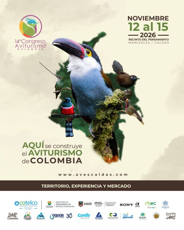 WhatsApp Image 2026-09-29 at 8.21.39 PM Aquí se construye el aviturismo de Colombia